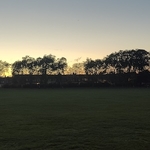 Sunsets behind park scene with a line of trees and house in the foreground