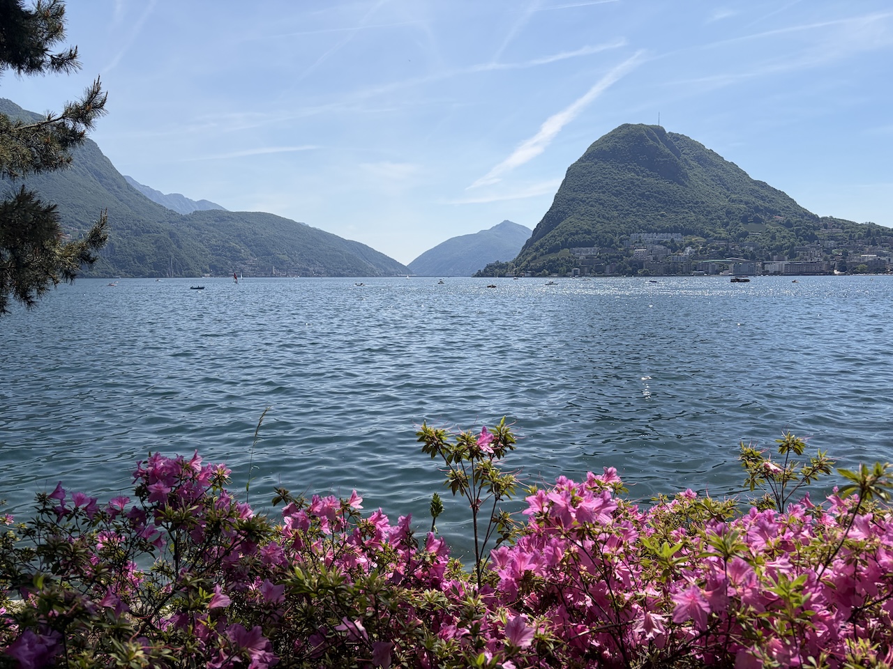 lake view focus on pink flowers with mountains in foreground