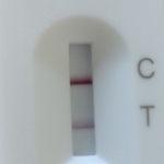 Lateral flow test showing two lines