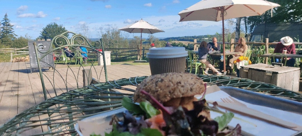 outside terrace at Kingdom with halloumi burger