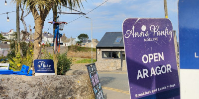 Sign with text Ann's Pantry, open ar agor beside a palm tree