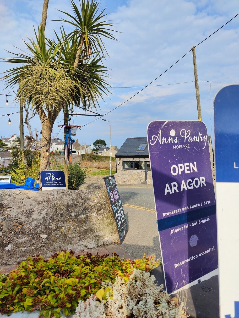 Sign with text Ann's Pantry, open ar agor beside a palm tree