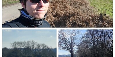 3-photo collage of Calum in cycle helmet and red sunglasses on a country in West Sussex, a pheasant and gated bridleway