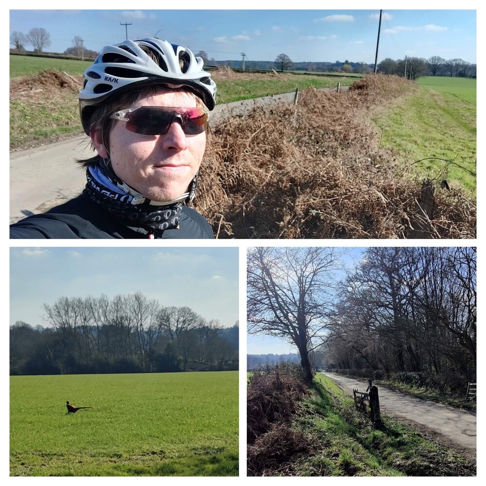 3-photo collage of Calum in cycle helmet and red sunglasses on a country in West Sussex, a pheasant and gated bridleway