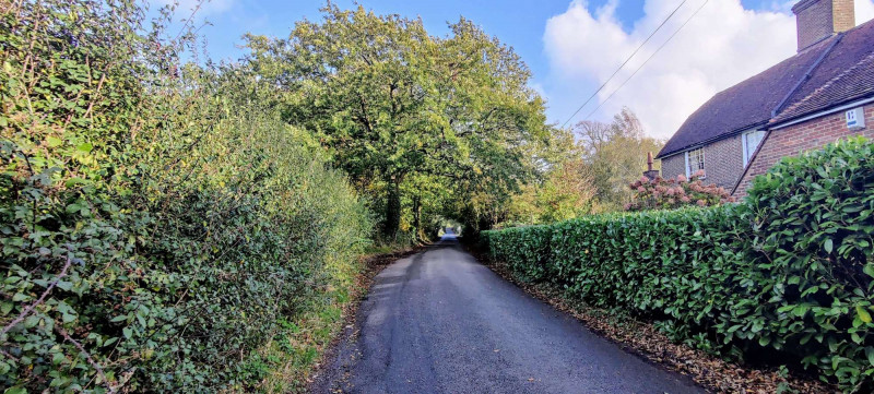 Country lane with green hedgerows
