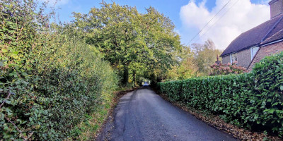 Country lane with green hedgerows