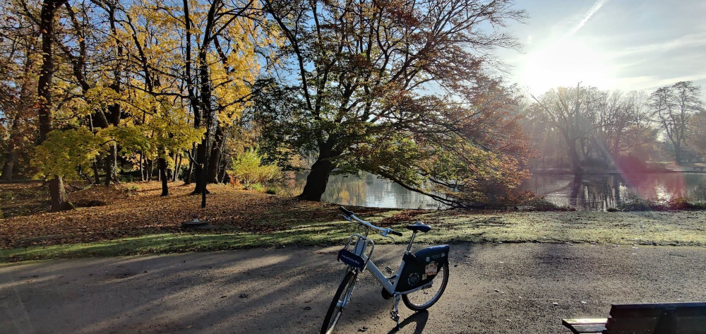Hire bicycle in park with autmn backdrop of trees and morning sunshine
