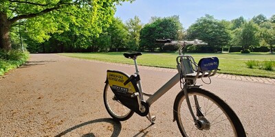 Hire bicycle in Volksgarten Düsseldorf on a bright Spring morning