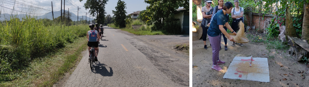 Bike tour along a rural lane