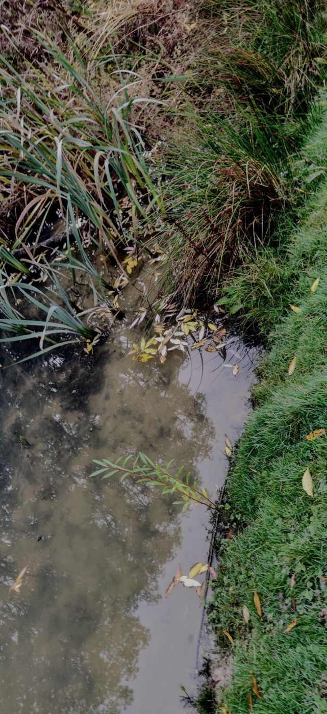 Flooded ditch