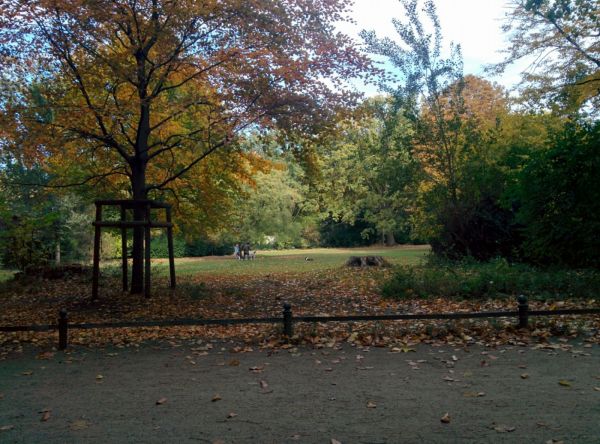 View of Englischer Garten
