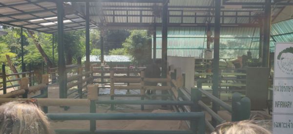 View of friends Of The Asian Elephants