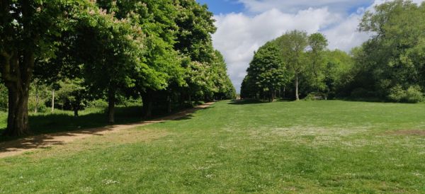 View of Norton Common