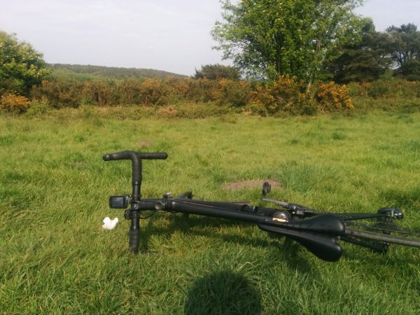 View of Ashdown Forest