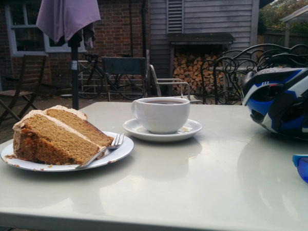 View of The Tulip Tree. Gigantic coffee sponge