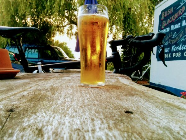 View of Bush, Blackbird & Thrush. 33°C, Sun, Bike, Cold beer