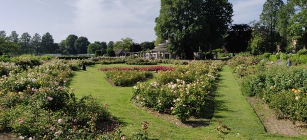 View of Preston Park. Post-conf wander
