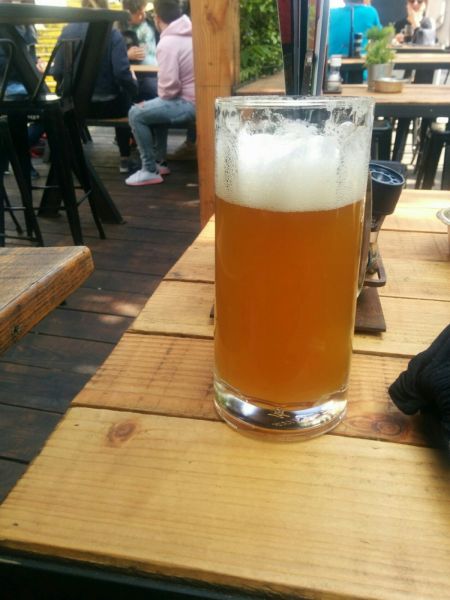 View of Rotterdam Biergarten. Post conf beer